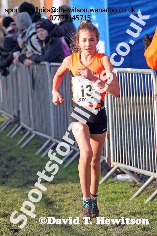 Girls under-13s Northern Cross Country  Championships, Pontefract. Photo: David T. Hewitson/Sports for All Pics